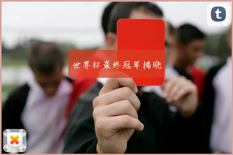 世界杯最终冠军揭晓