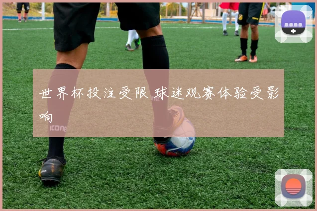 世界杯投注受限 球迷观赛体验受影响