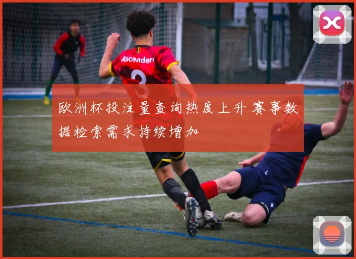 欧洲杯投注量查询热度上升 赛事数据检索需求持续增加