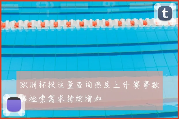 欧洲杯投注量查询热度上升 赛事数据检索需求持续增加