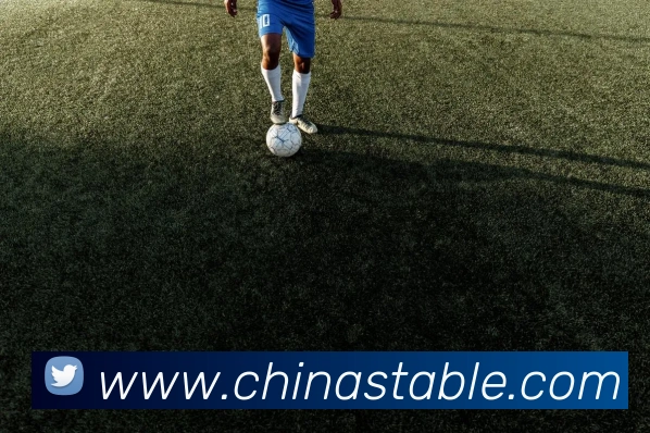 华会体育官网平台生态图